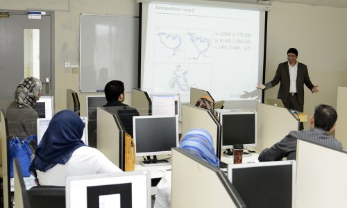 كلية الصيدلة تنظم ورشة عمل عن 