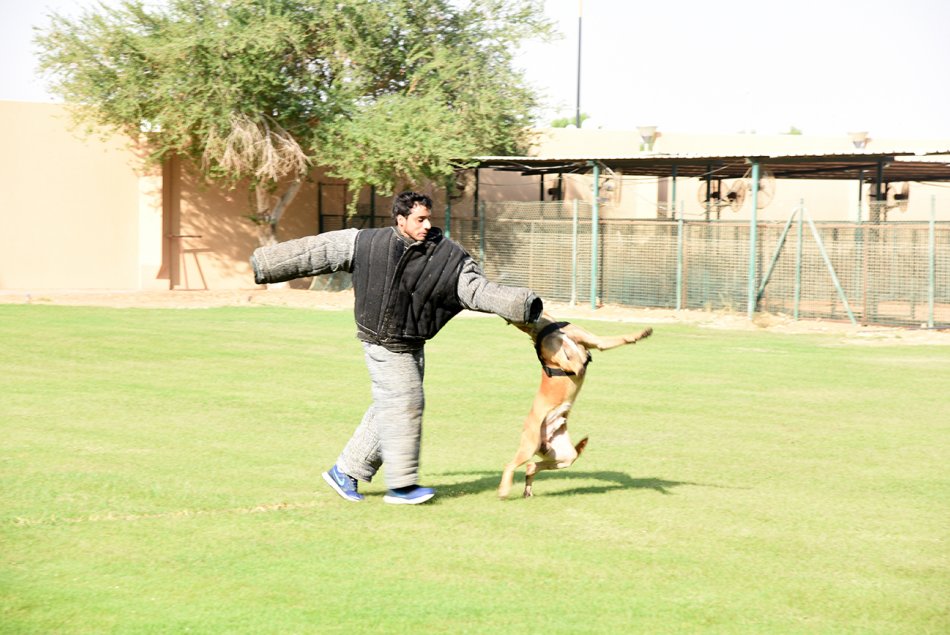 Abu Dhabi Police K-9s visit