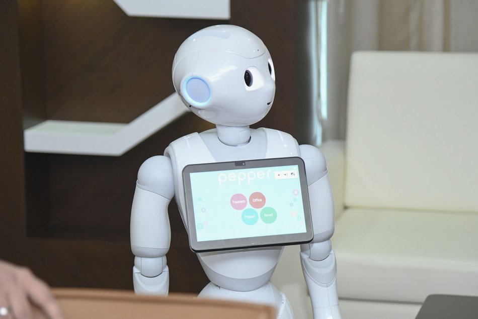 Robot's Demonstration Session 