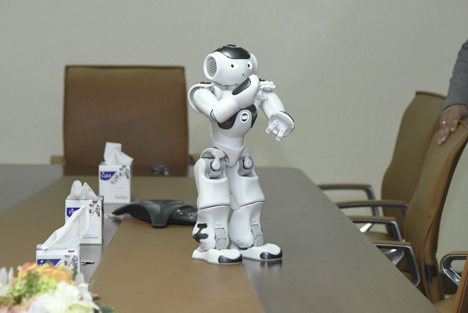 Robot's Demonstration Session 