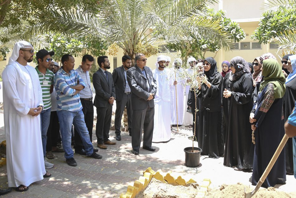 زراعة شجرة الغاف في مقر العين