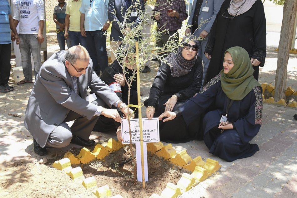 زراعة شجرة الغاف في مقر العين