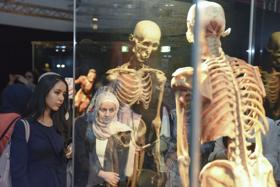 Student's visit to World Body Museum 