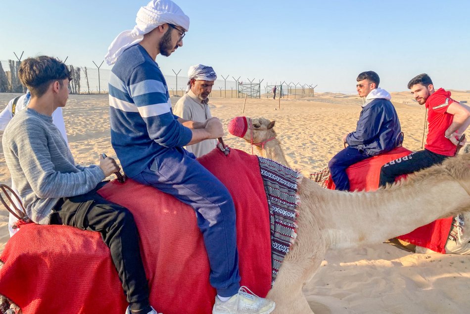 رحلة سفاري