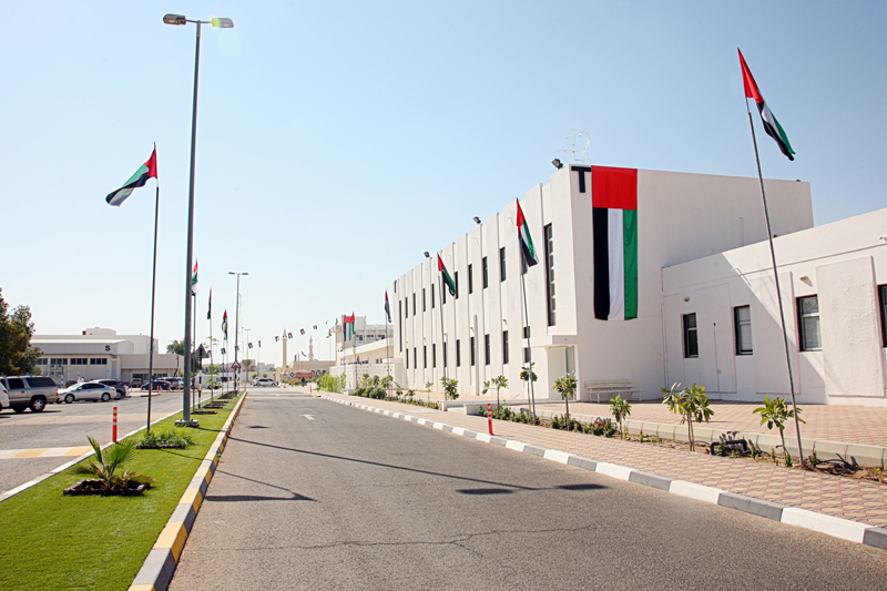 UAE Flag: &ldquo;Raise It Up High&hellip;To Keep It High&rdquo;